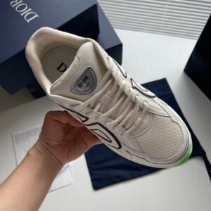 Dior B30 Reflective Beige Green