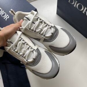Dior B22 White Silver