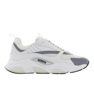 Dior B22 White Silver
