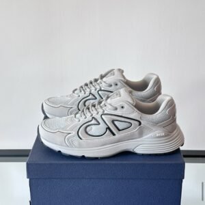 Dior B30 Reflective Grey