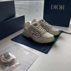Dior B30 Reflective Beige Green