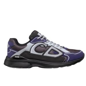 Dior B30 Reflective Blue/Black Silver